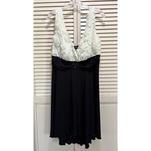 En Focus Blk/Cream Dress‎ Size 14W 3D Roses Beads V Neck Sleeveless Knee Length